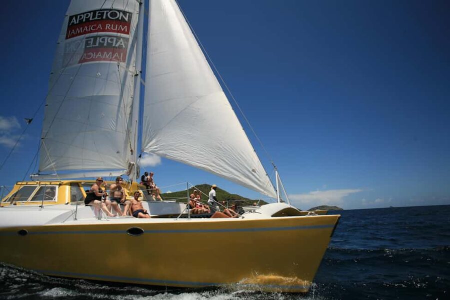 St. Kitts Full-Day Catamaran Cruise to Nevis - Snorkeling among boulders and reef fish