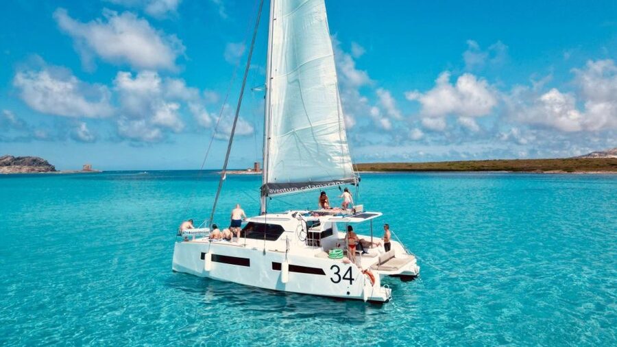 Stintino: Catamaran excursion in the Gulf of Asinara - Key points to know before booking
