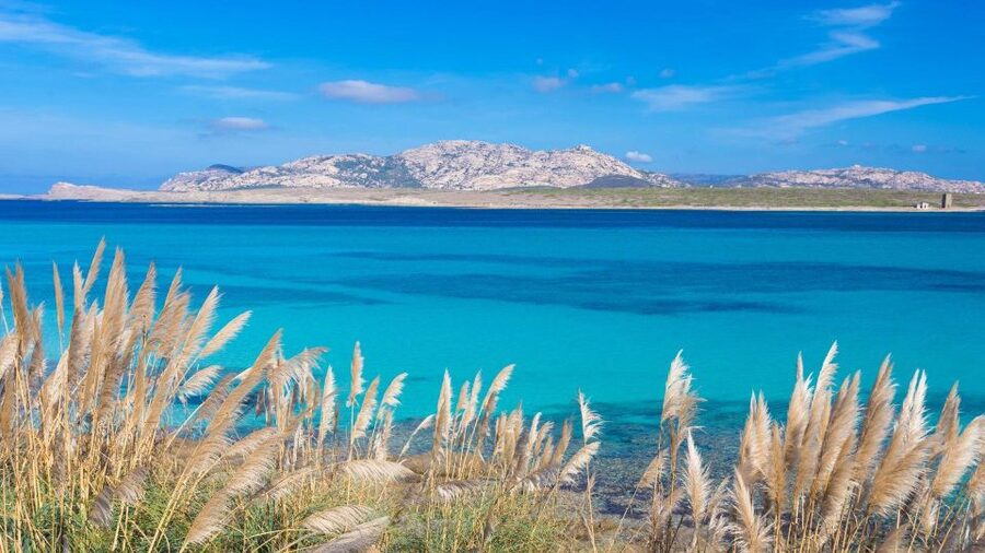 Stintino: Half-day catamaran tour to La Pelosa with aperitif - What the Aperitif Really Includes