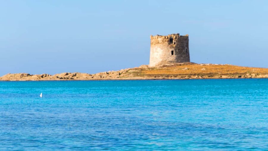 Stintino: Half-day catamaran tour to La Pelosa with aperitif - Swimming at the Fornelli Natural Pools