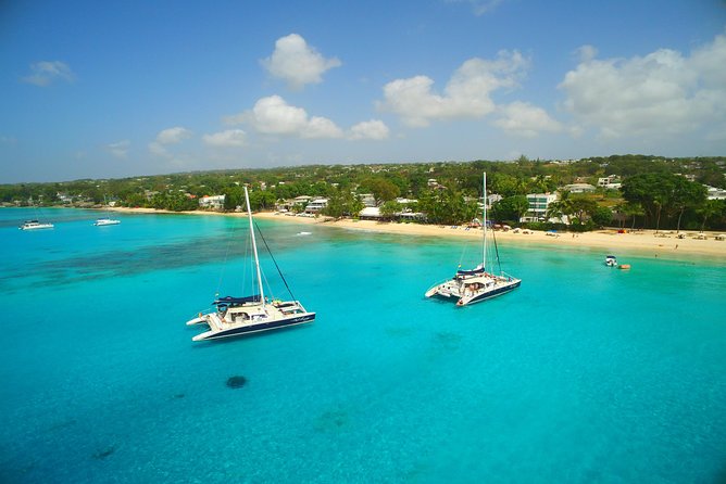 Sunset Catamaran and Snorkeling Cruise At Carlisle Bay - Snorkeling Over a Shallow Shipwreck
