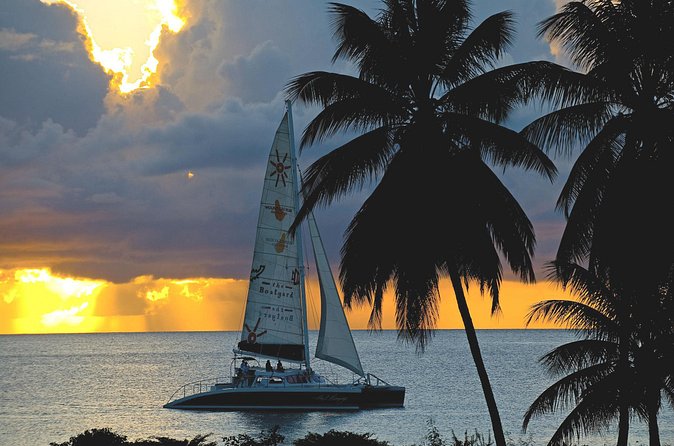 Sunset Catamaran and Snorkeling Cruise At Carlisle Bay - Practical Tips for a Better Afternoon