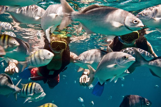Sunset Catamaran and Snorkeling Cruise At Carlisle Bay - Sailing Along Carlisle Bay