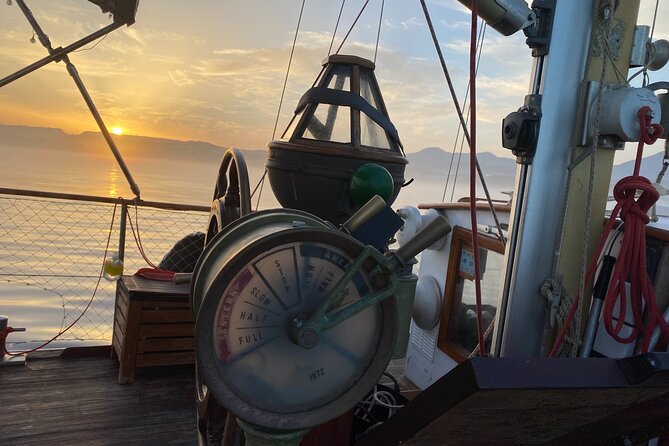 Sunset Sailing Experience in Estepona - Searching for dolphins near Estepona