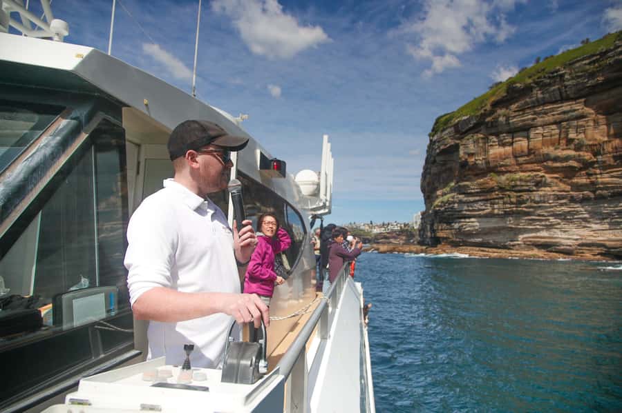Sydney: Discovery Whale Watching Tour by Catamaran - The speed, comfort, and rough-water question