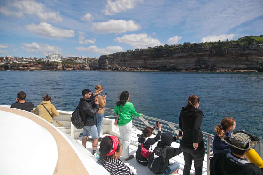 Sydney: Discovery Whale Watching Tour by Catamaran - What the 150-minute schedule means for your day