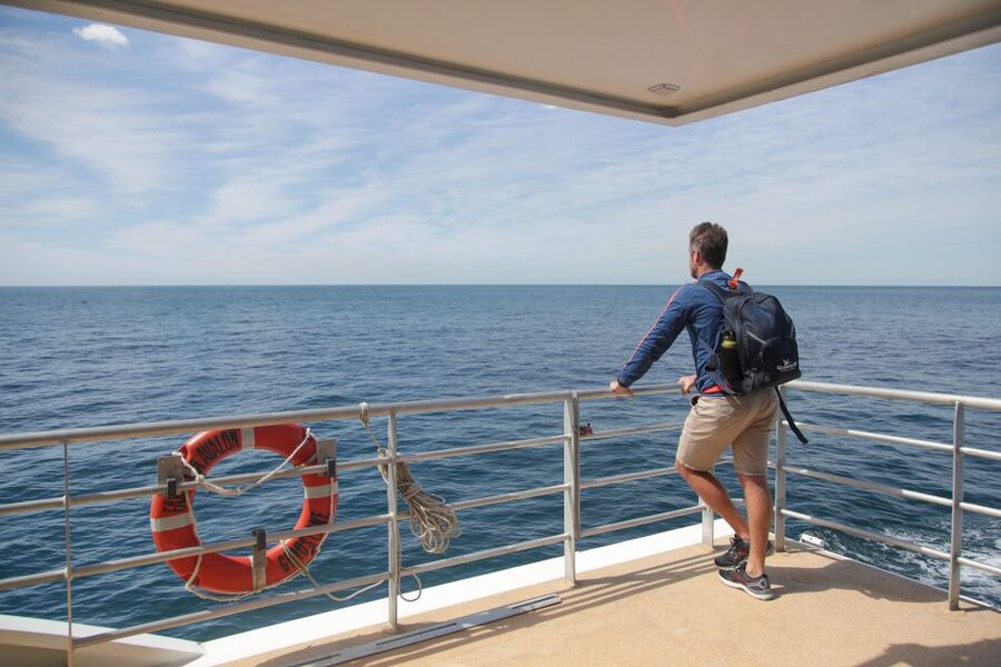 Sydney: Discovery Whale Watching Tour by Catamaran - Who will enjoy this cruise most