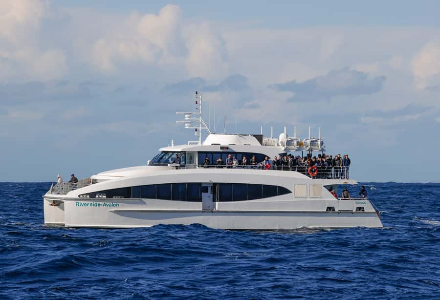 Sydney: Discovery Whale Watching Tour by Catamaran - Booking and cancellation details worth knowing