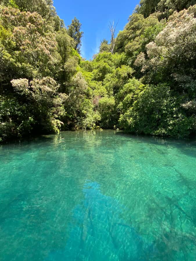 Taupo: Lake Taupo Western Bays Catamaran Tour with Bush Walk - The boat-only beach and short bush walk