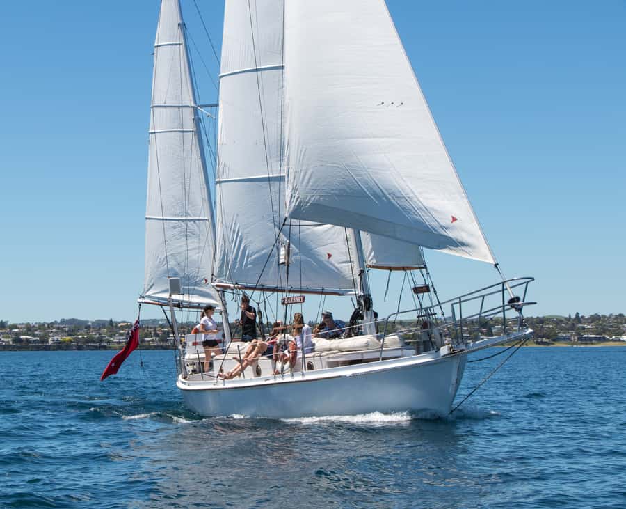 Taupō: Sail Barbary Eco Sailing to the Maori Rock Carvings - Should you book the Lake Taupō electric sailing trip?
