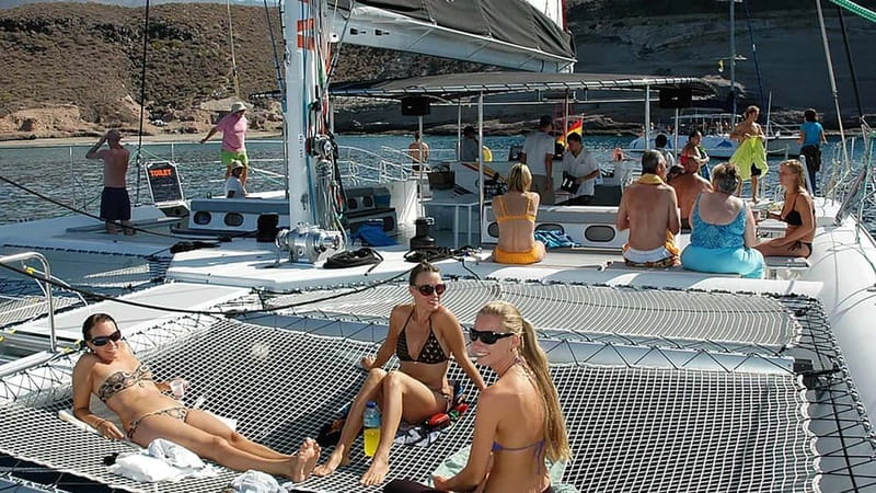 Tenerife: Catamaran Cruise with an Open Bar - Key points to know before you sail