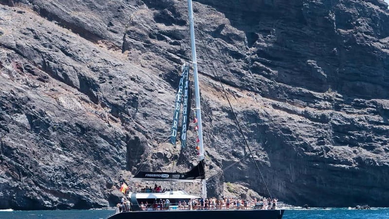 Tenerife: Catamaran Cruise with an Open Bar - Setting out from southern Tenerife