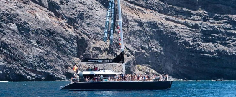 Tenerife: Catamaran Cruise with an Open Bar - The 4.5-hour route toward Los Gigantes