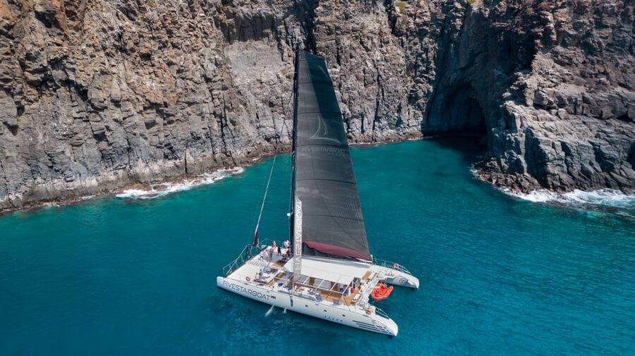 Tenerife: Catamaran Cruise with Brunch and Unlimited Drinks - Punta Rasca is the main wildlife window