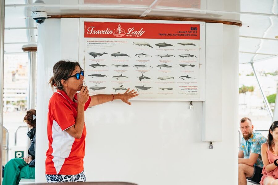 Tenerife: Eco-Yacht Whale and Dolphin Watching and Swimming - Searching for whales and dolphins near Los Cristianos