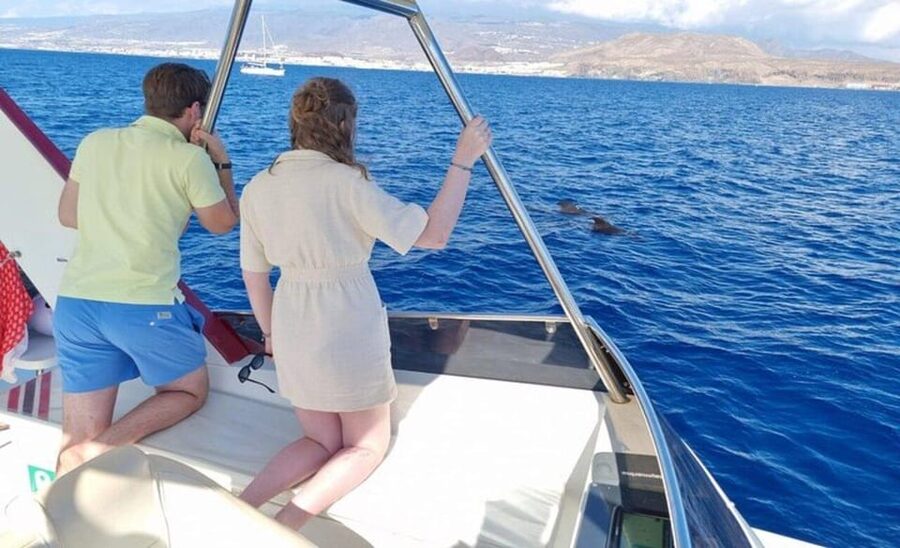 Tenerife: Eco-Yacht Whale and Dolphin Watching and Swimming - Swimming and snorkeling if time and sea conditions allow
