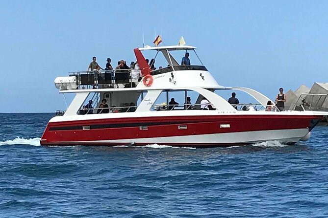 Tenerife Los Cristianos: Whale and Dolphin Eco-Yacht and Swim Stop - How the boat feels underway