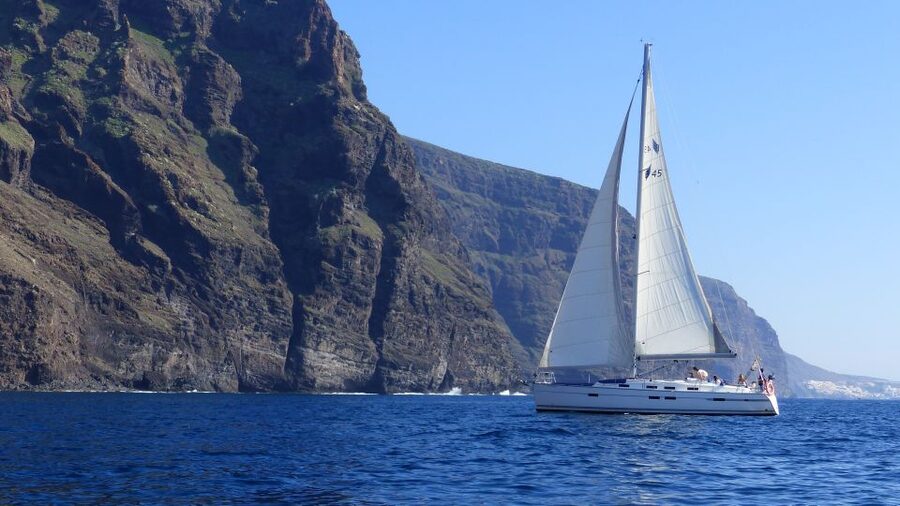 Tenerife: Los Gigantes Whale Watching Cruise by Sail Boat - Looking for pilot whales, dolphins, and turtles