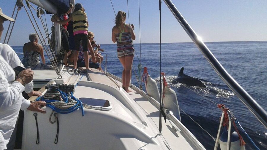 Tenerife: Private or Group 3 Hour Sailing Cruise with Drinks - How the Price Works for You