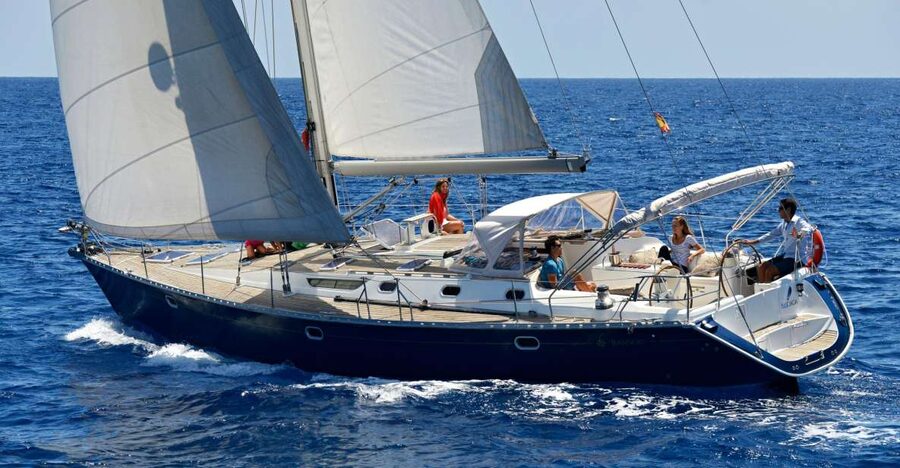 Tenerife: Sailing Excursion with Whale and Dolphin Watching - Why pilot whales make this trip special