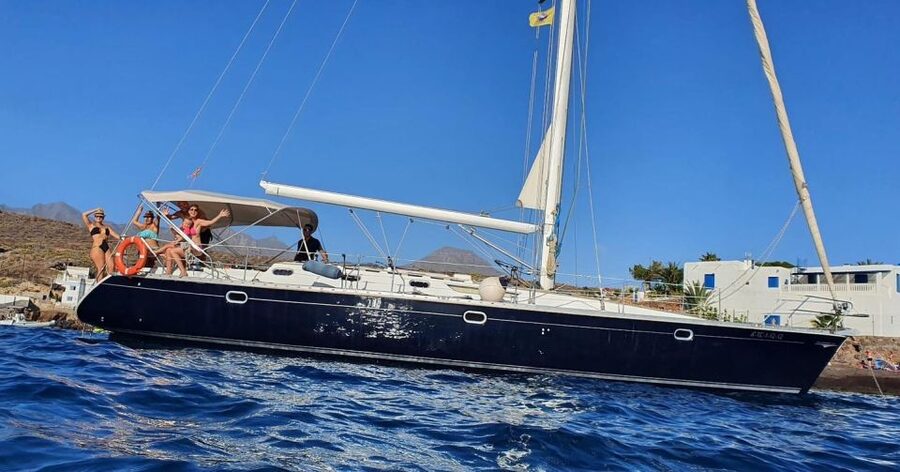 Tenerife: Sailing Excursion with Whale and Dolphin Watching - Should you book it?
