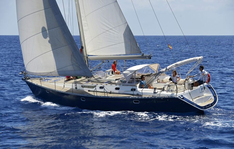 Tenerife: Sailing Excursion with Whale and Dolphin Watching - Whale watching along Tenerife’s southern coast