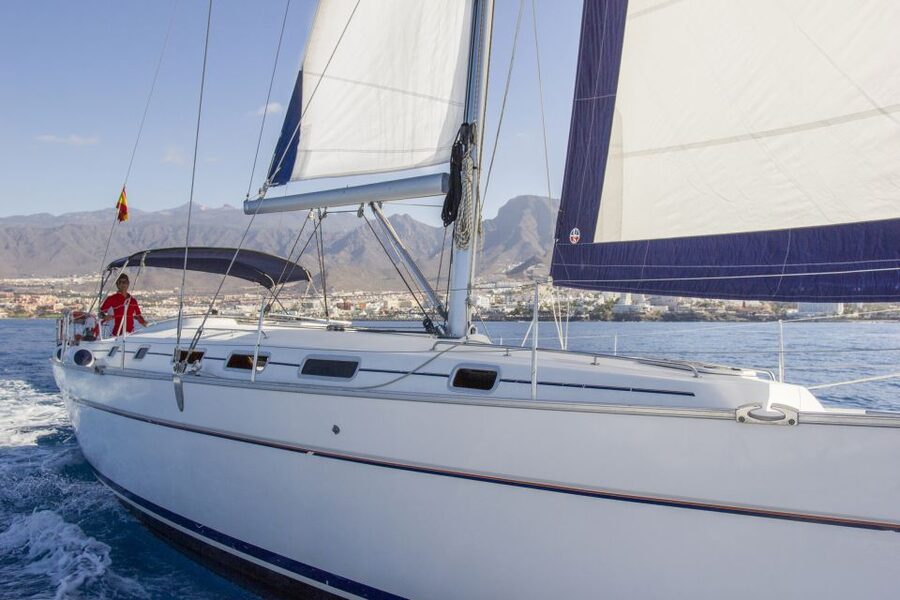 Tenerife: Whale and Dolphin Watching Tour by Sailboat - What to Bring and What to Expect