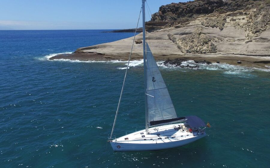 Tenerife: Whale and Dolphin Watching Tour by Sailboat - Three Hours Along Costa Adeje