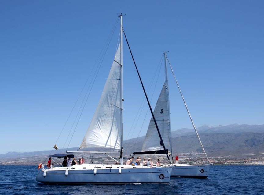 Tenerife: Whale and Dolphin Watching Tour by Sailboat - Drinks, Snacks, and a Basic Meal