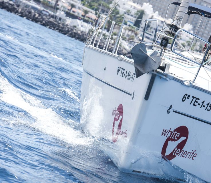 Tenerife: Whale and Dolphin Watching Tour by Sailboat - Who Will Enjoy This Trip Most?