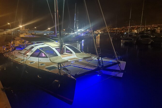 Tenerife Whales and Dolphins Watching Experience in Catamaran - Why the 12-person limit matters on the water