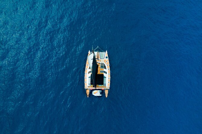 Tenerife Whales and Dolphins Watching Experience in Catamaran - The cove stop: clear water, mixed snorkeling expectations