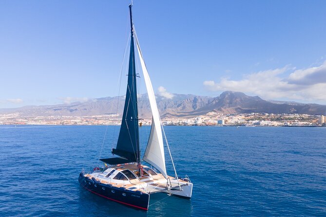 Tenerife Whales and Dolphins Watching Experience in Catamaran - Sandwiches, beer, and an easygoing break