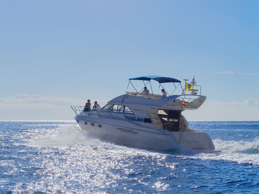 Tenerife: Whales and Snorkeling Tour on a Luxury Yacht - Is $101 good value?