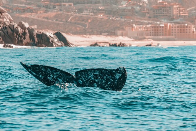 The Finest Private Yacht Experience in Cabo - Boat expectations and the photo issue
