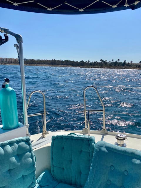 Torrevieja: Costa Blanca Catamaran Cruise - Who will enjoy this most