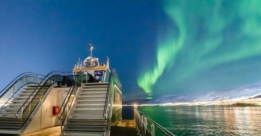 Tromsø: Aurora Dinner Cruise by Hybrid-Electric Catamaran - The first tasting, with fjord views