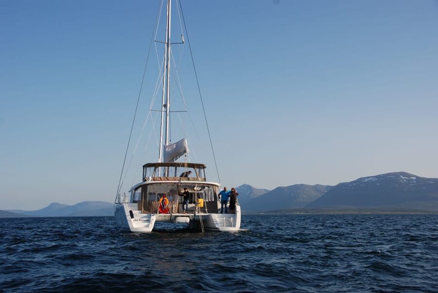 Tromsø: Fjord and Islands Luxury Catamaran Cruise - Fishing with the captain