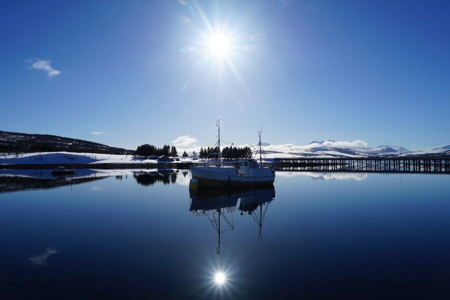 Tromsø: Fjord Cruise by Luxury Yacht - Fishing and a turn at the helm