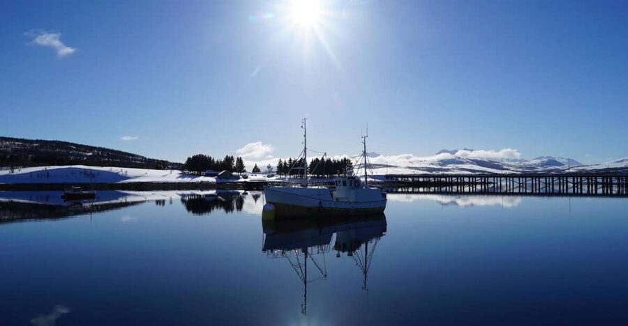 Tromsø: Fjord Cruise by Luxury Yacht - Fish soup on the return to Tromsø