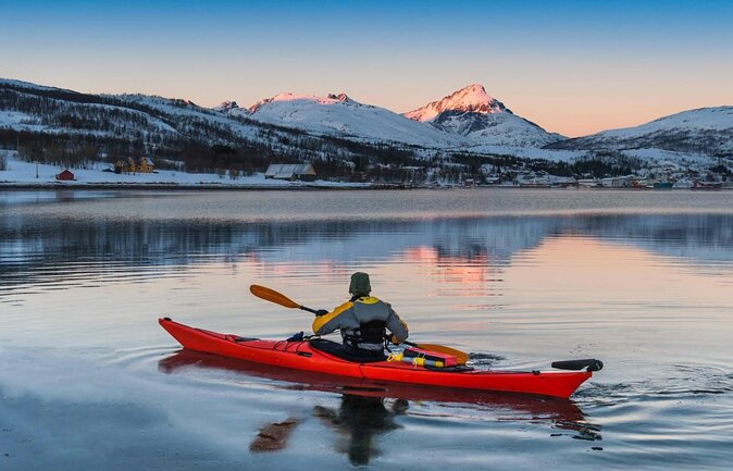 Tromso Luxury Sailing Yacht Polar Fjord Cruise with Lunch - Key points to know before booking