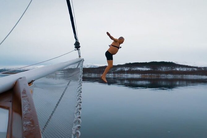 Tromso Luxury Sailing Yacht Polar Fjord Cruise with Lunch - How the route compares with a fjord bus tour