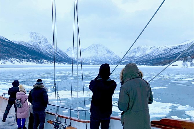 Tromso Luxury Sailing Yacht Polar Fjord Cruise with Lunch - Is $348.51 a fair price?