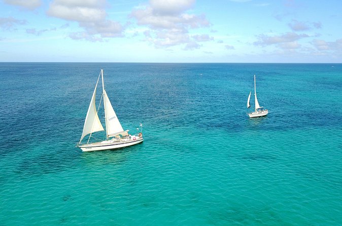 Tropical Sailing Experience with BBQ Lunch or BBQ Dinner in Aruba - Mangel Halto Reef is the main event