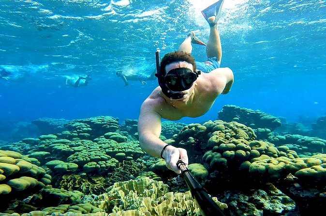 Tropical Sailing Experience with BBQ Lunch or BBQ Dinner in Aruba - Who should book, and who should think twice