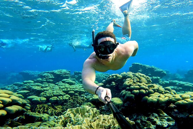 Tropical Sailing Experience with BBQ Lunch or BBQ Dinner in Aruba - Flamingo Island and the changing Caribbean light