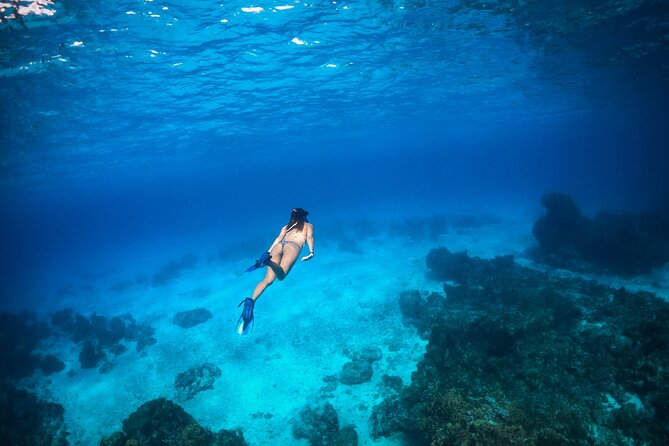 Tulum: Leopard 51′ Yacht with Gourmet Dining & Water Toys - Reaching the Mexican Caribbean reef
