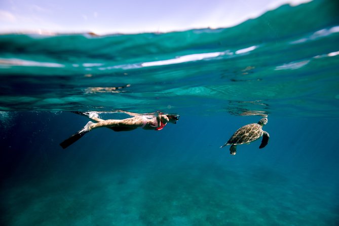 Turtle Cove Catamaran Snorkel and Sail at Little Buck Island STT - Quick takeaways for planning your sail