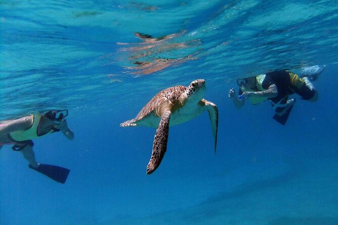 Turtle Cove Catamaran Snorkel and Sail at Little Buck Island STT - Boarding at Frenchman’s Cove