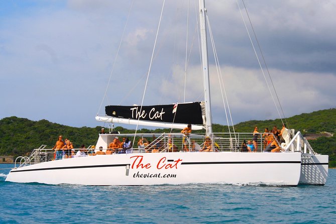 Turtle Cove Catamaran Snorkel and Sail at Little Buck Island STT - Snorkeling with turtles at Little Buck Island